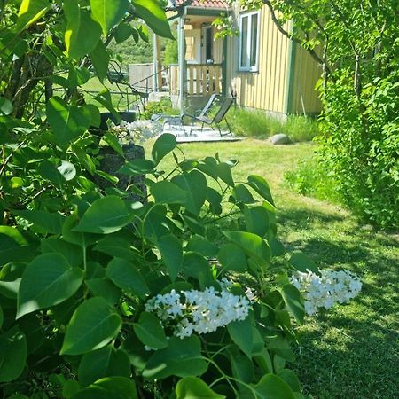 Charmigt Hus Pa Landet Naera Till Bad Strömstad Exteriör bild